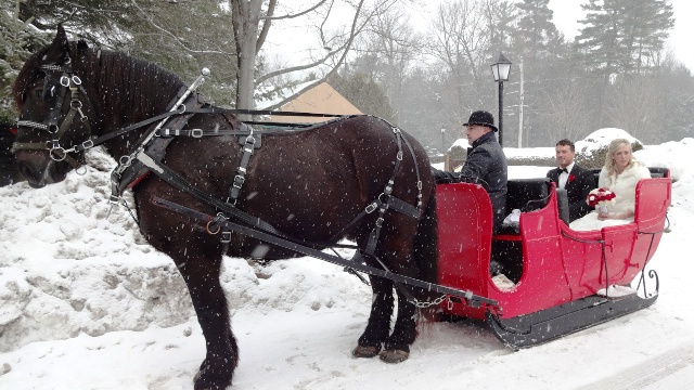 sled