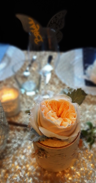 Table Decor detail. Photo by Alan Viau
