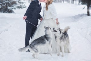 bride and groom with dog Husky