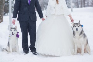 bride and groom with dog Husky