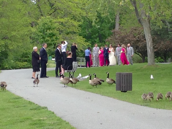 bystanders