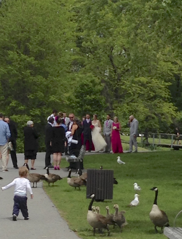 bystanders