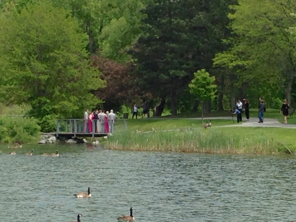 bystanders